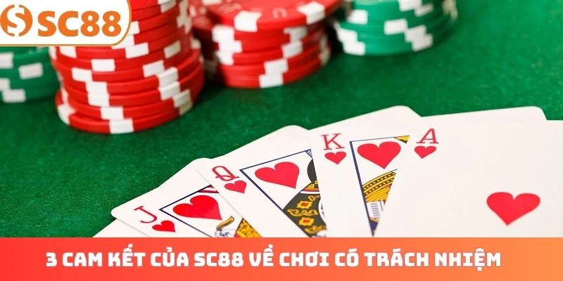 3 cam kết của sc88 về môi trường chơi có trách nhiệm